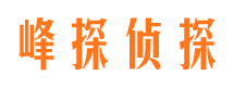 船山峰探私家侦探公司